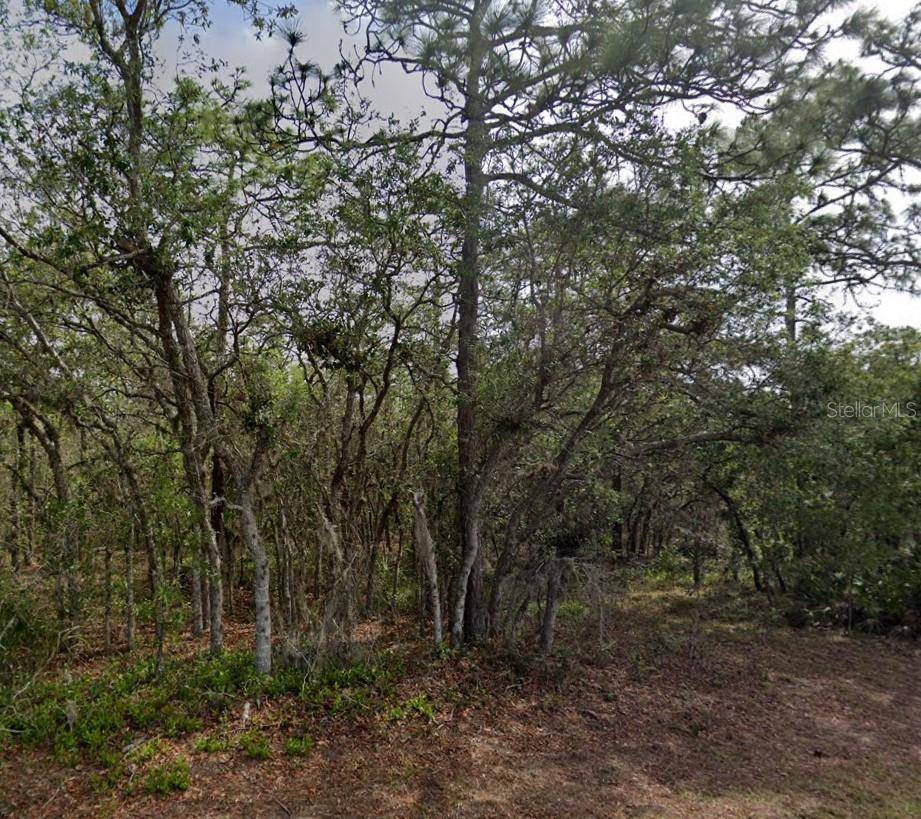 10 MILBARK DR, Homosassa, FL 34446