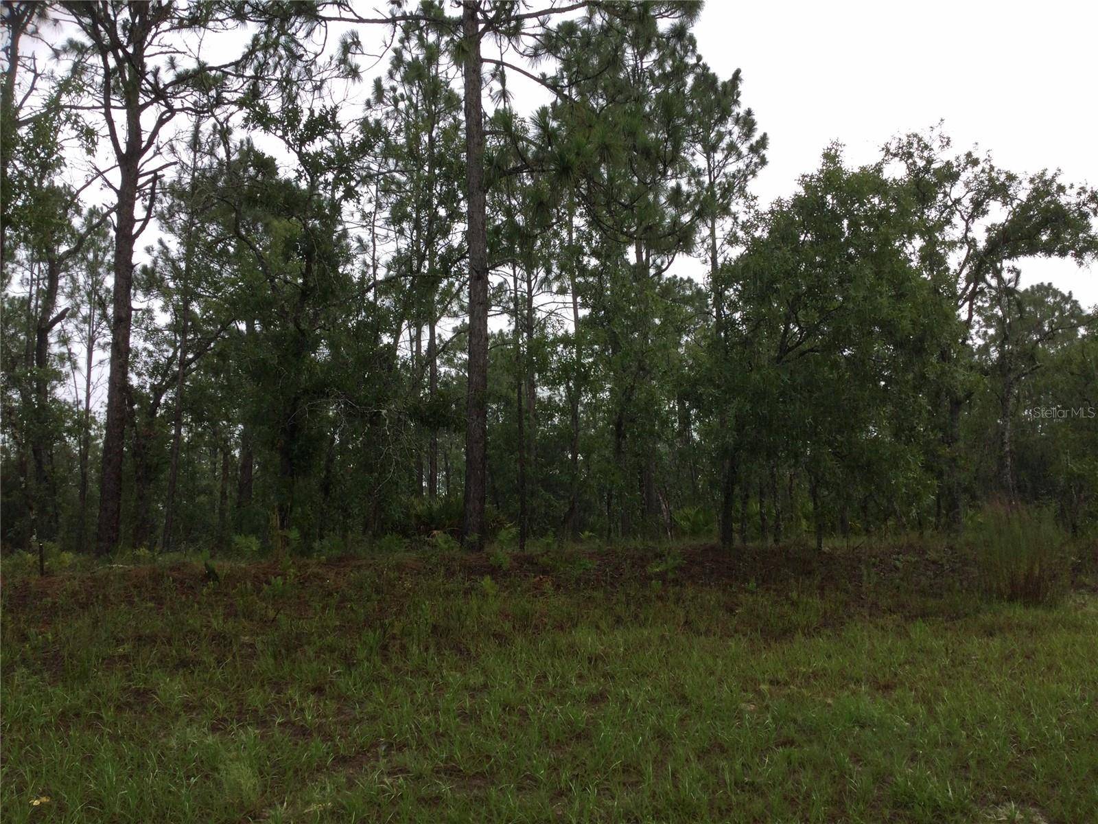 2191 W CITRUS SPRINGS BLVD, Dunnellon, FL 34434