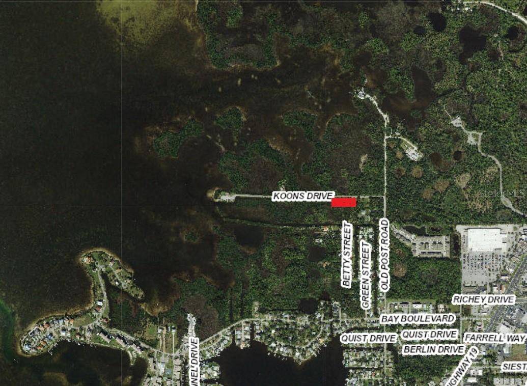 5350 KOONS DR, Port Richey, FL 34668