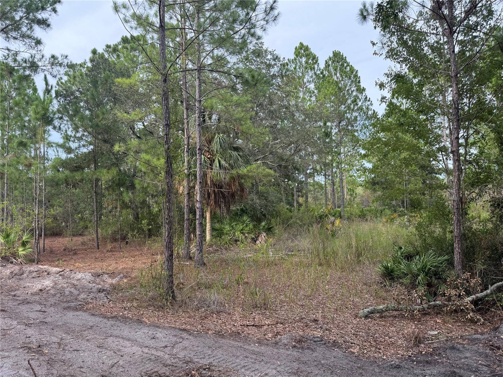 00 SW 103RD CT, Cedar Key, FL 32625