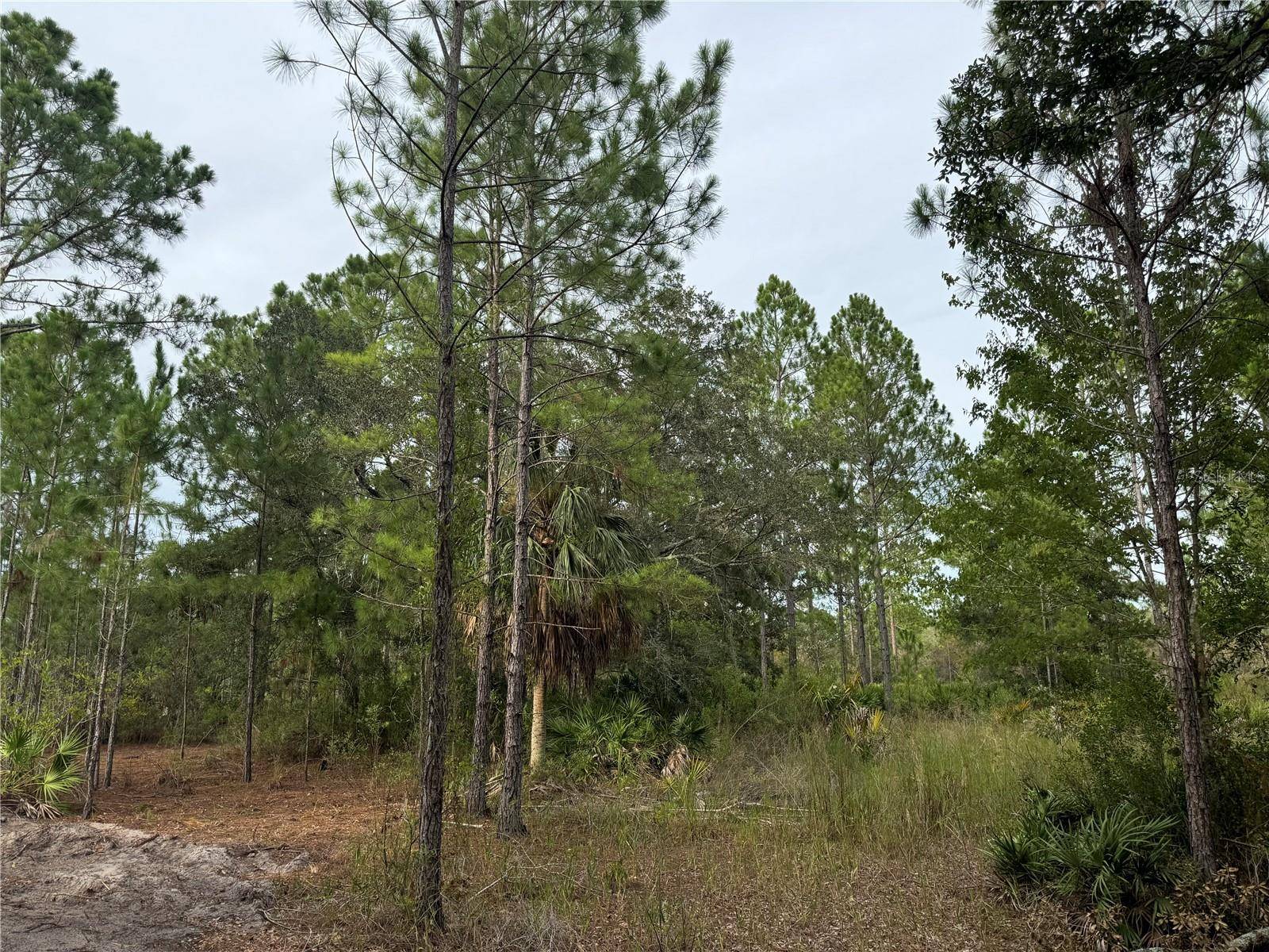 00 SW 103RD CT, Cedar Key, FL 32625