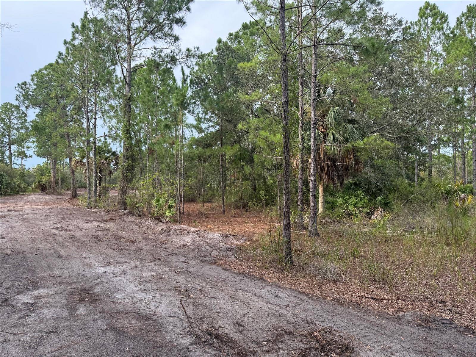 00 SW 103RD CT, Cedar Key, FL 32625