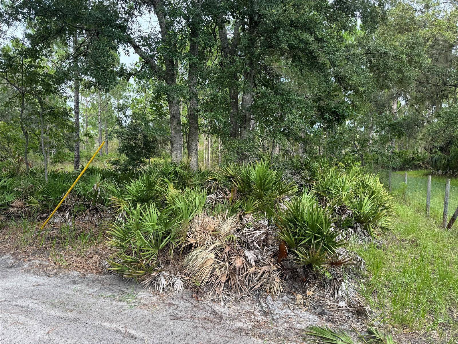 00 SW 103RD CT, Cedar Key, FL 32625