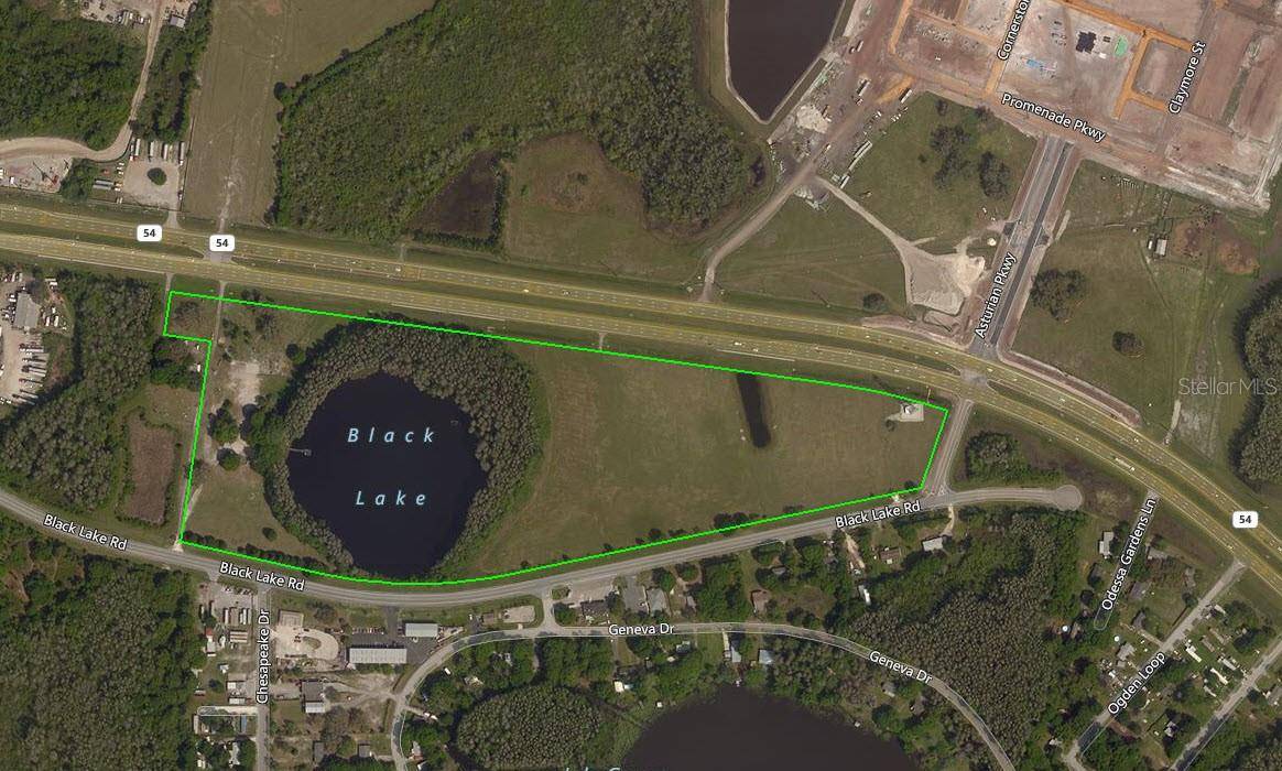 14325 BLACK LAKE RD, Odessa, FL 33556