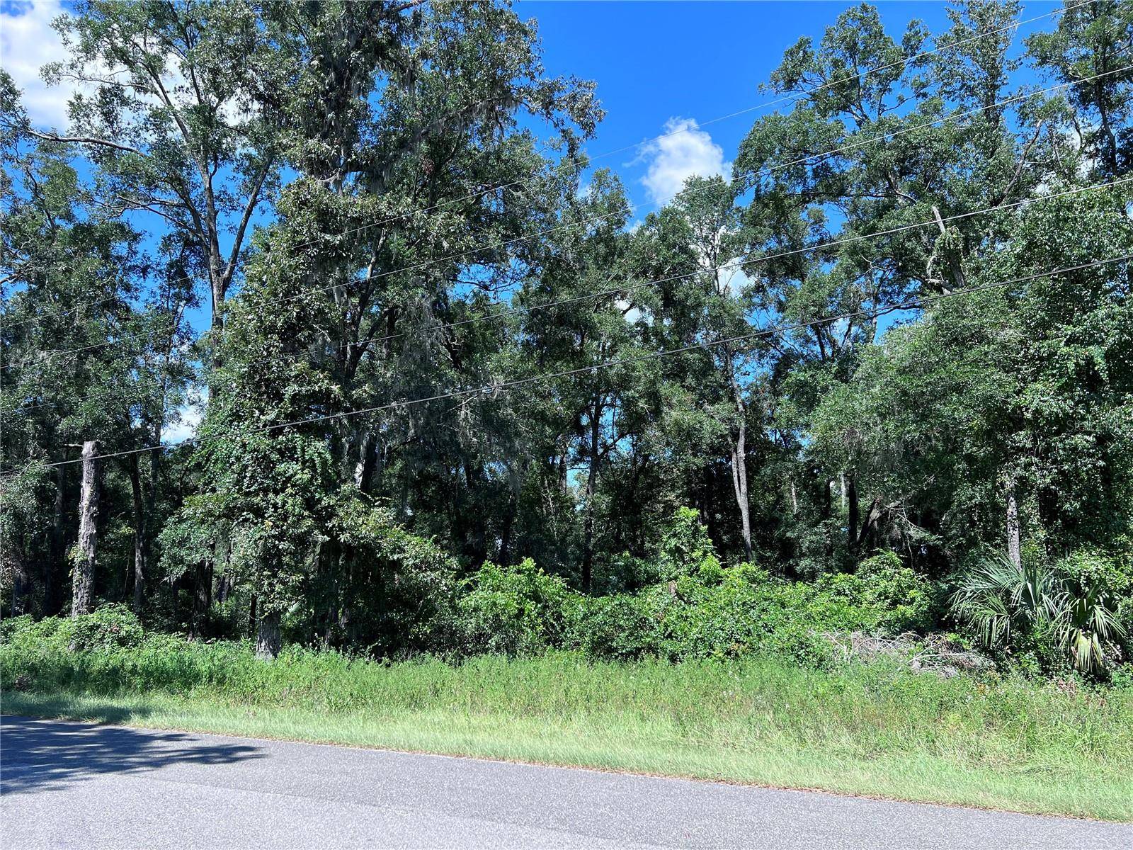 00 NW 90TH CT, Fanning Springs, FL 32693