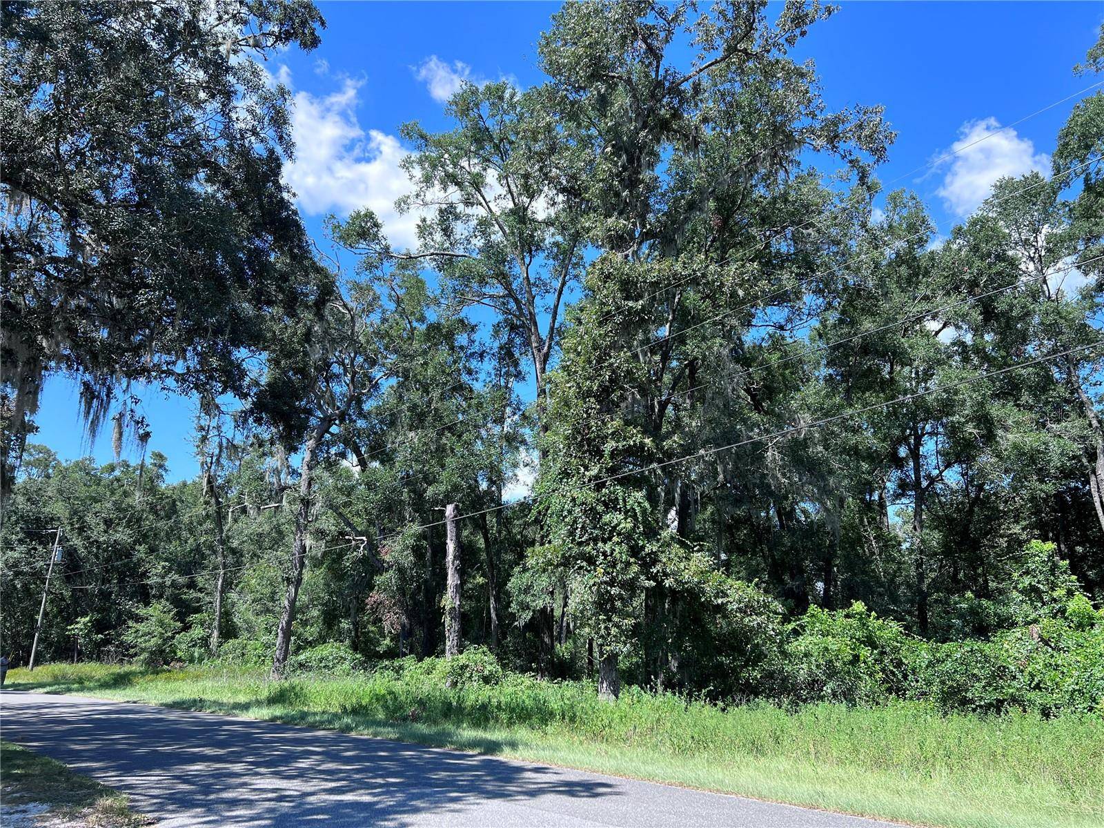 00 NW 90TH CT, Fanning Springs, FL 32693