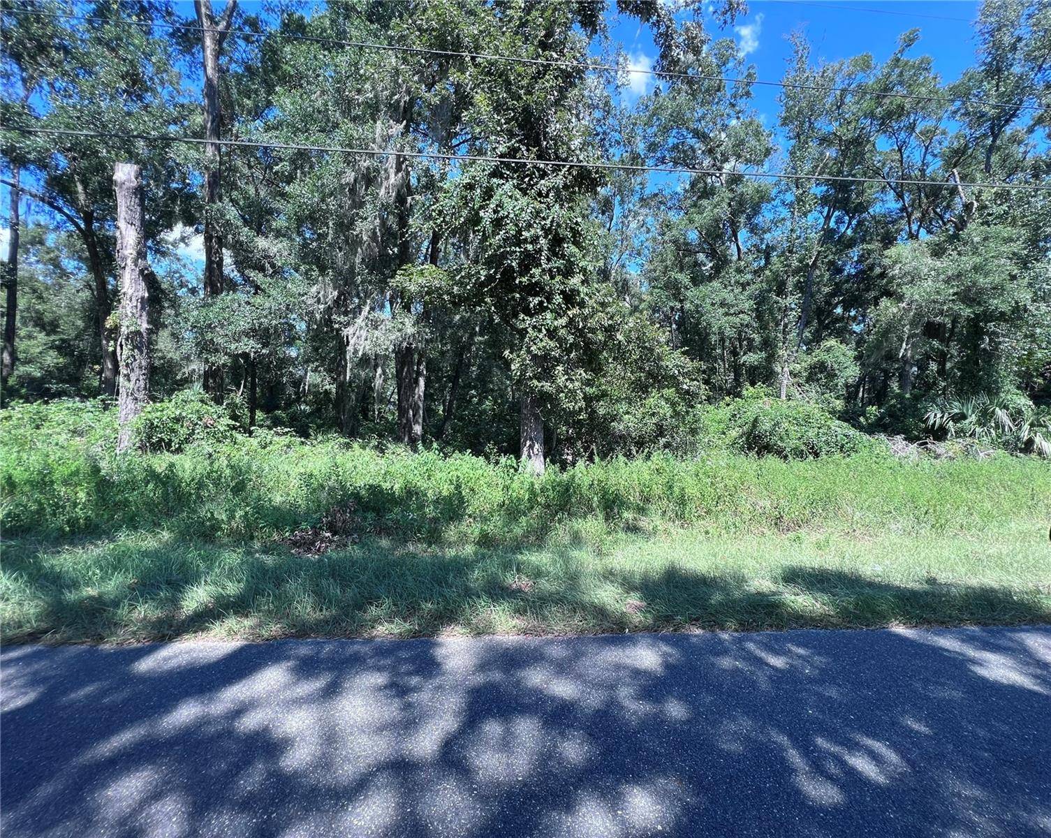 00 NW 90TH CT, Fanning Springs, FL 32693