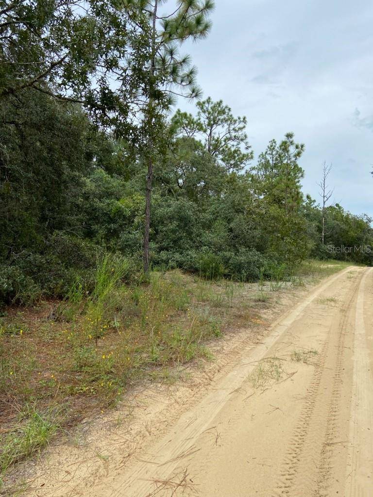 318 S CRESTVIEW AVE, Inverness, FL 34452