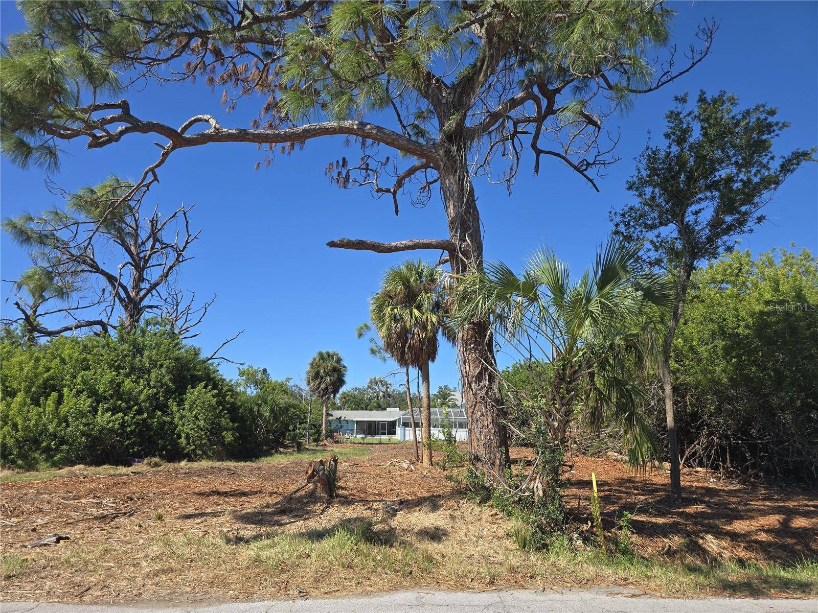 6313 OELSNER ST, New Port Richey, FL 34652