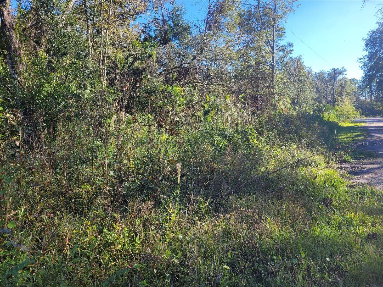 MORENA ST #5, New Port Richey, FL 34654