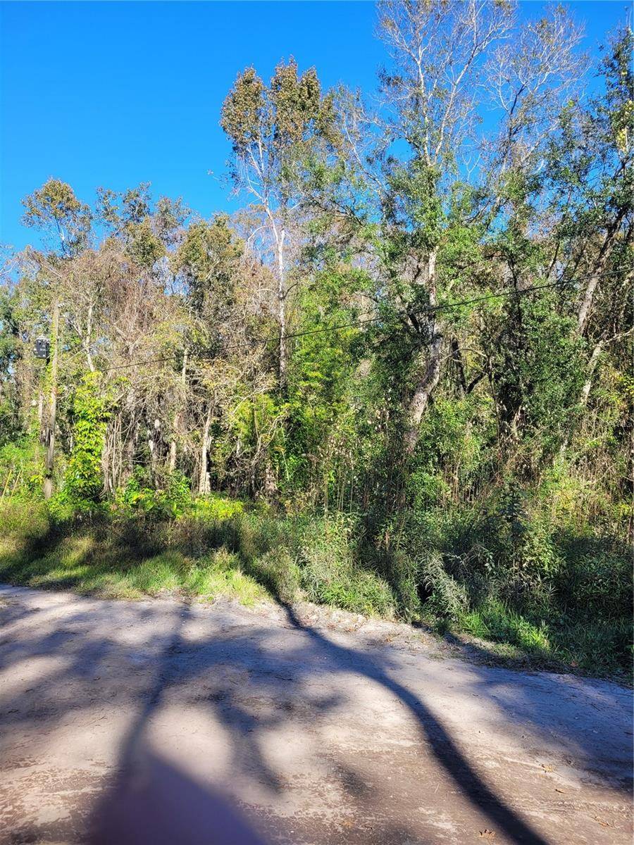 MORENA ST #5, New Port Richey, FL 34654
