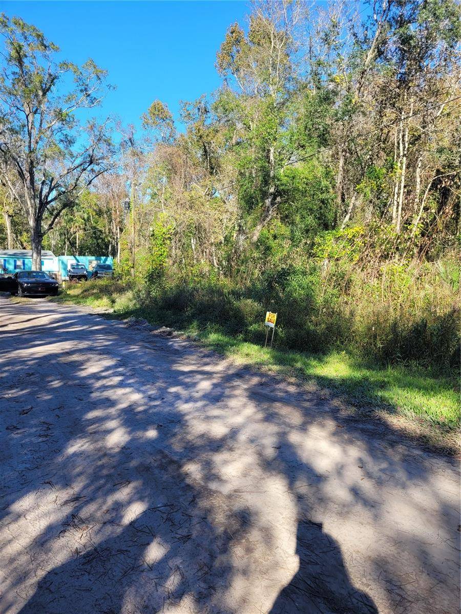 MORENA ST #5, New Port Richey, FL 34654