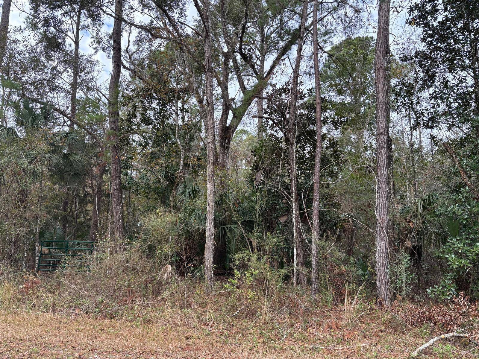 Lot 3 CAROLINA DOVE RD, Weeki Wachee, FL 34614