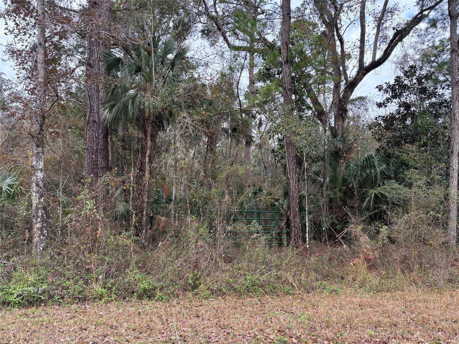 Lot 3 CAROLINA DOVE RD, Weeki Wachee, FL 34614