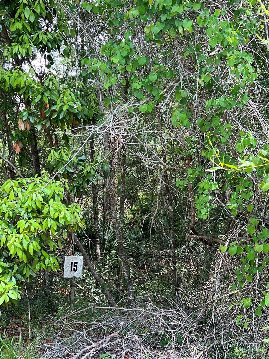0 NW 70TH CIR, Chiefland, FL 32626