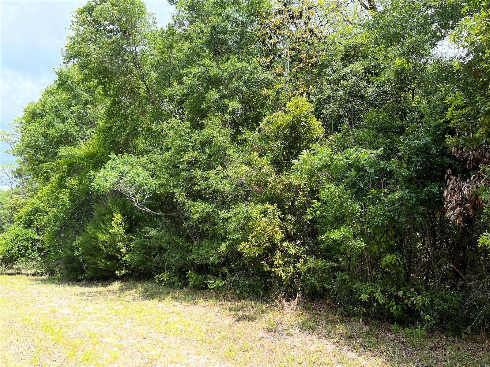 0 NW 70TH CIR, Chiefland, FL 32626