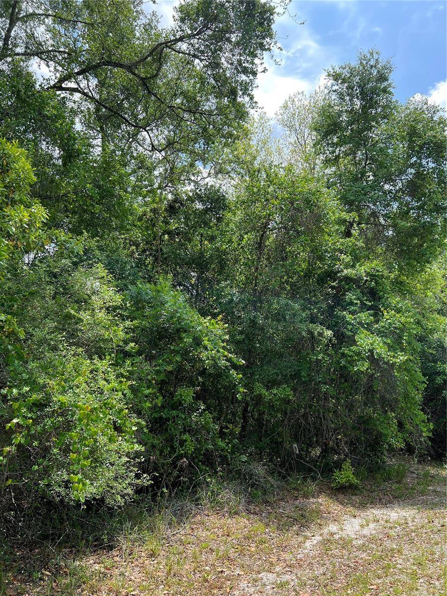 0 NW 70TH CIR, Chiefland, FL 32626