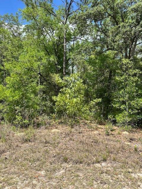2235 W SUMMER PL, Dunnellon, FL 34434
