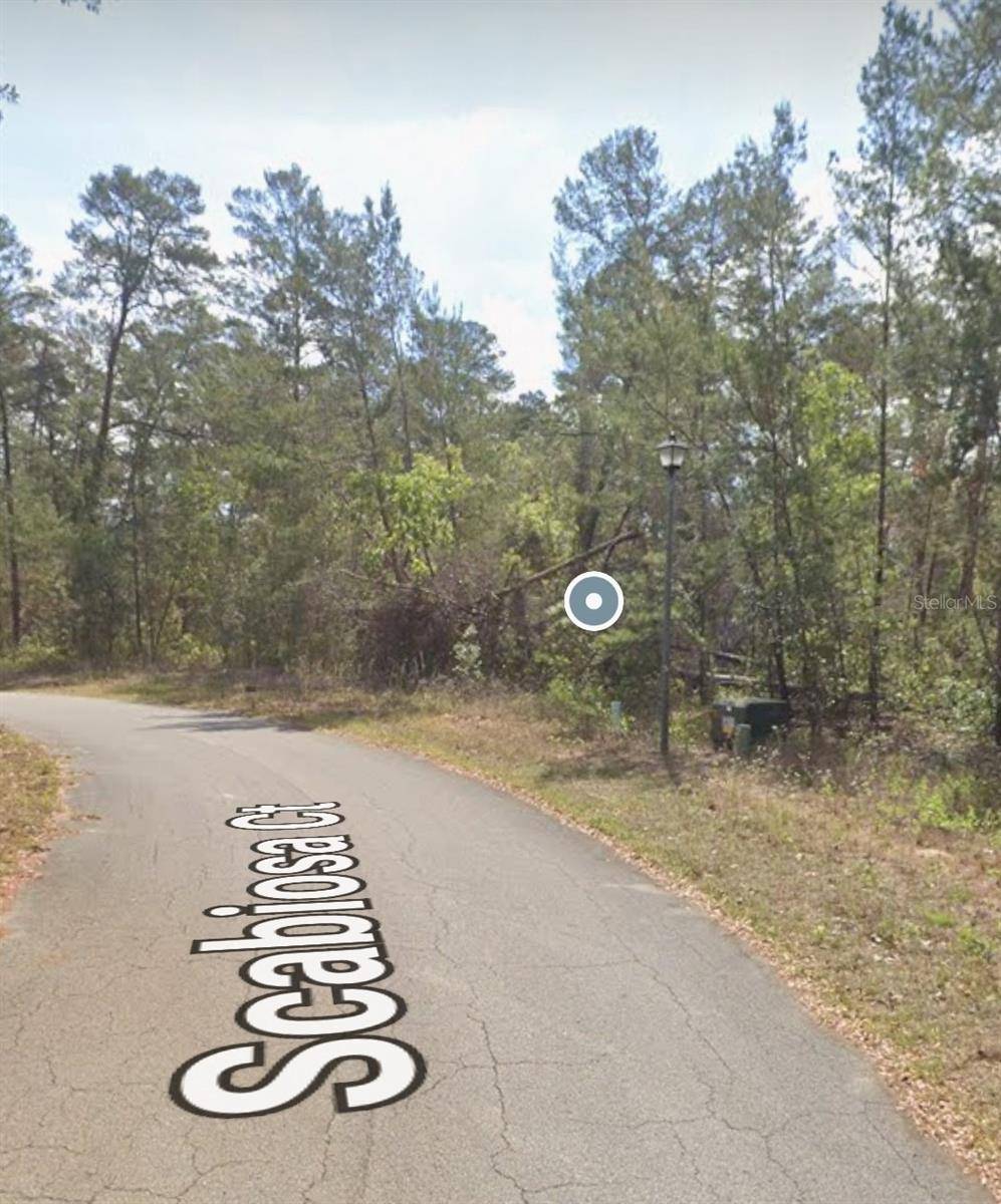 13 SCABIOSA CT, Homosassa, FL 34446