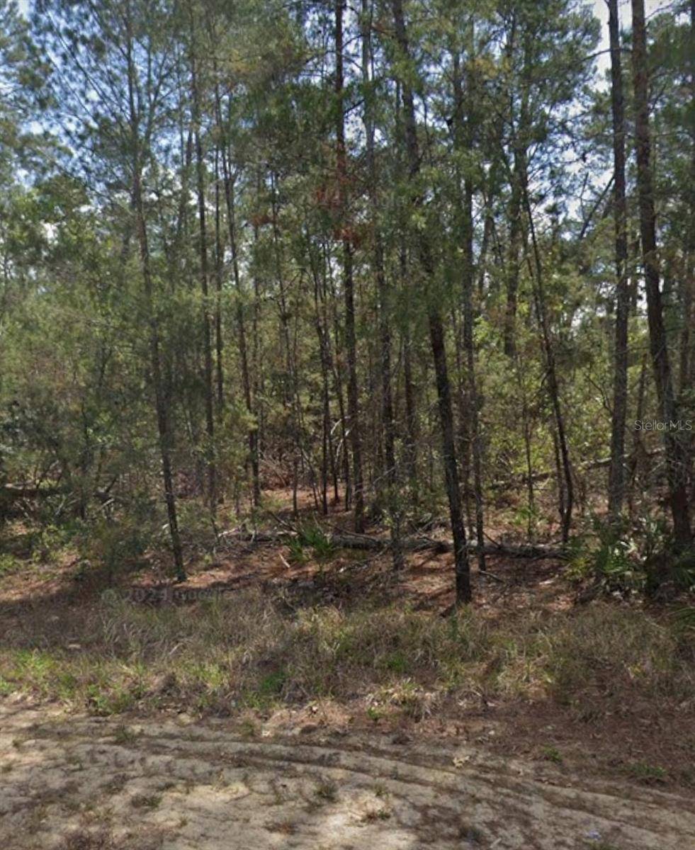 13 SCABIOSA CT, Homosassa, FL 34446