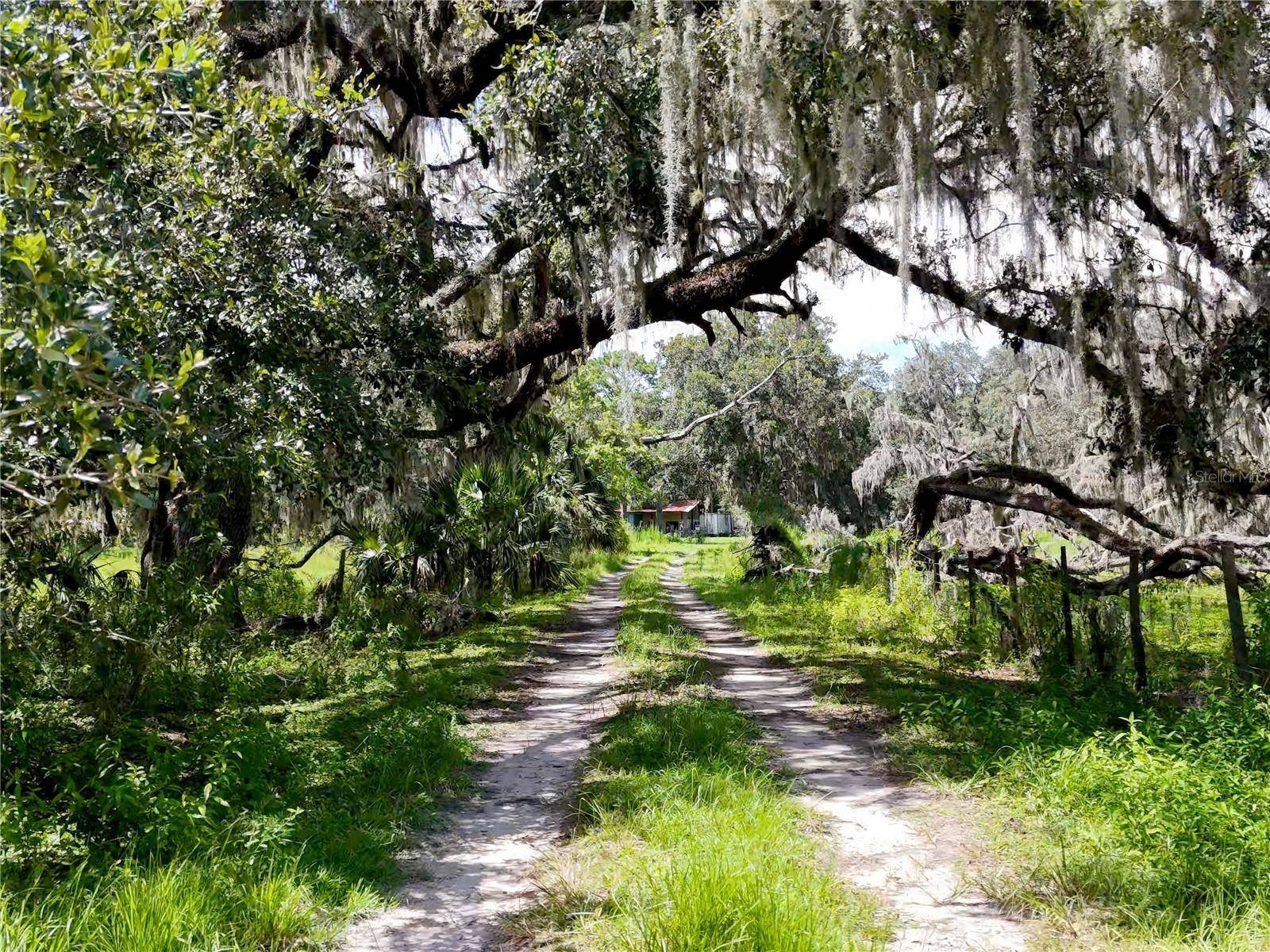 20089 AYERS RD, Brooksville, FL 34604