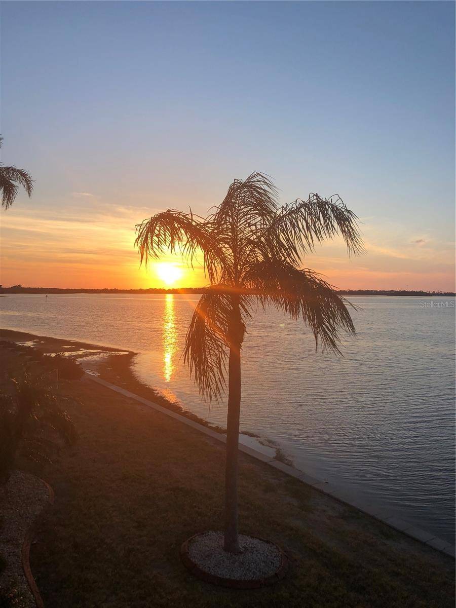 7 DUNOON PL #203, Dunedin, FL 34698