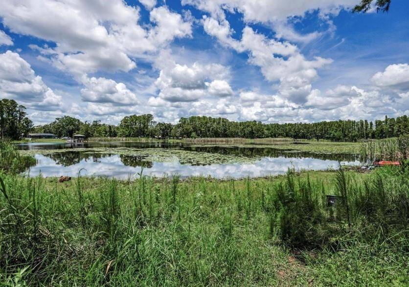 4635 COBB RD, Land O Lakes, FL 34638