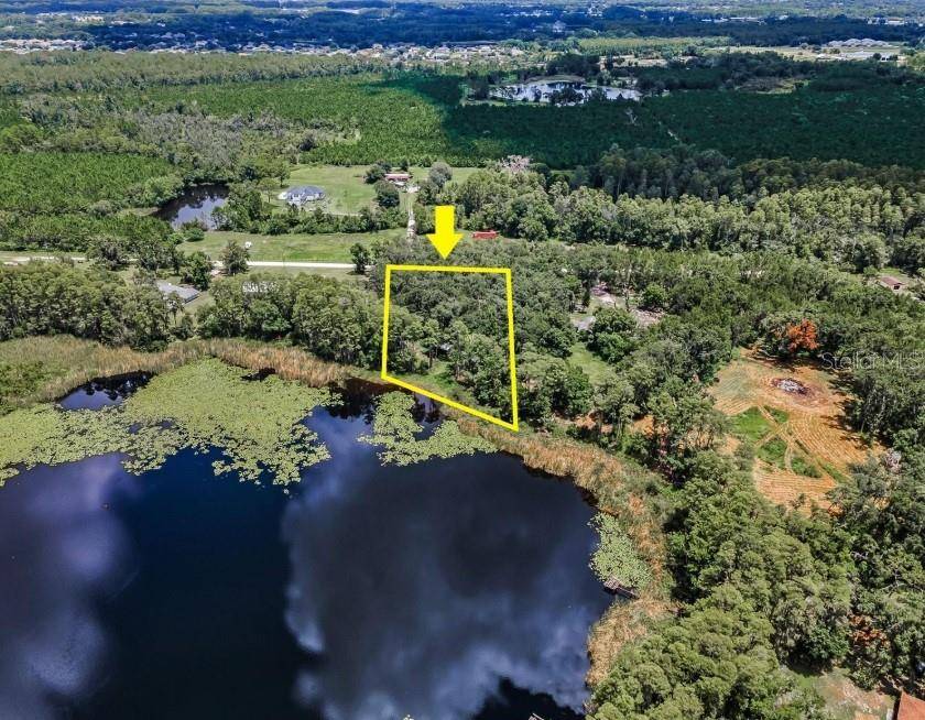 4635 COBB RD, Land O Lakes, FL 34638