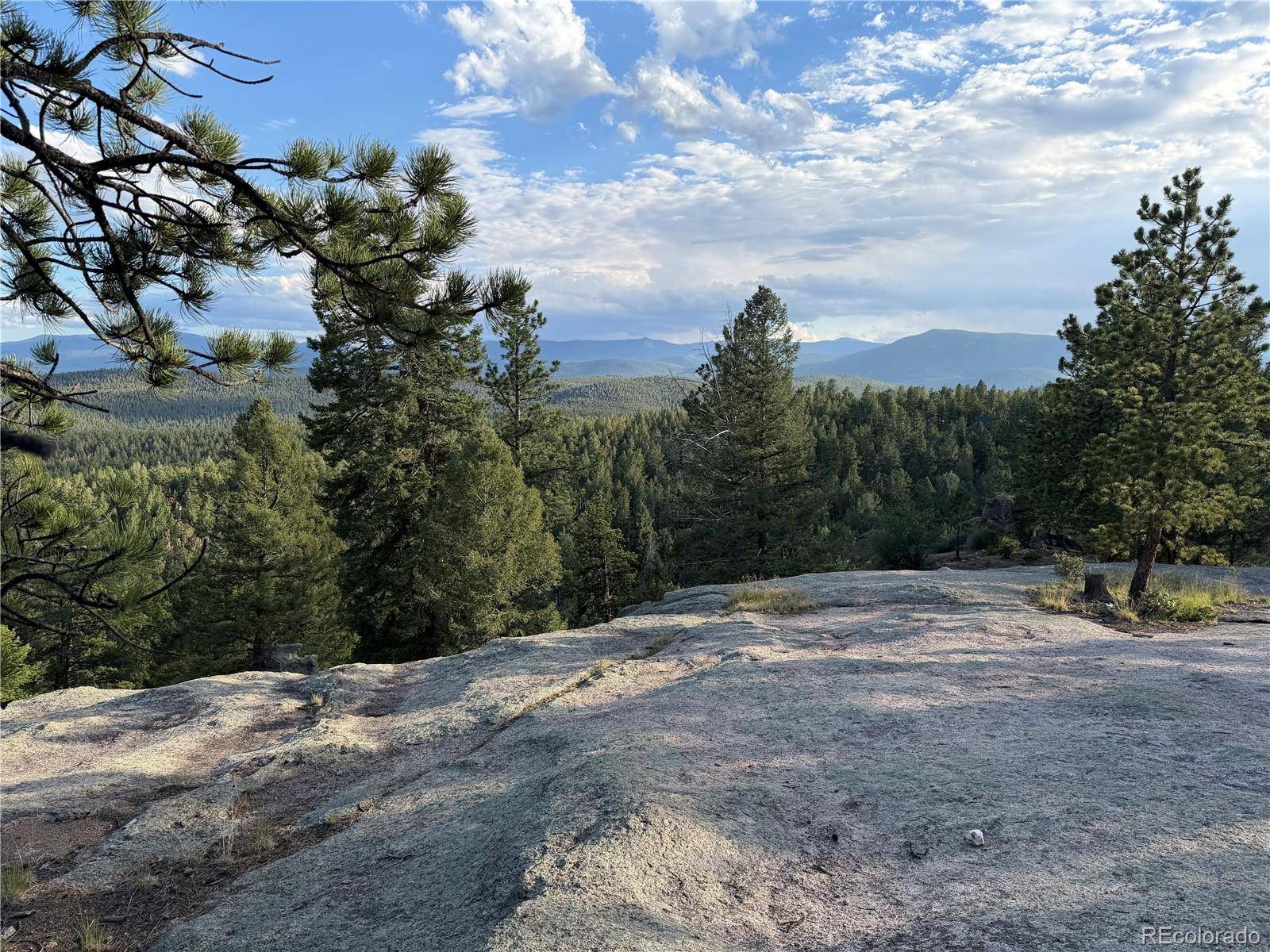 237 Road B, Pine, CO 80470