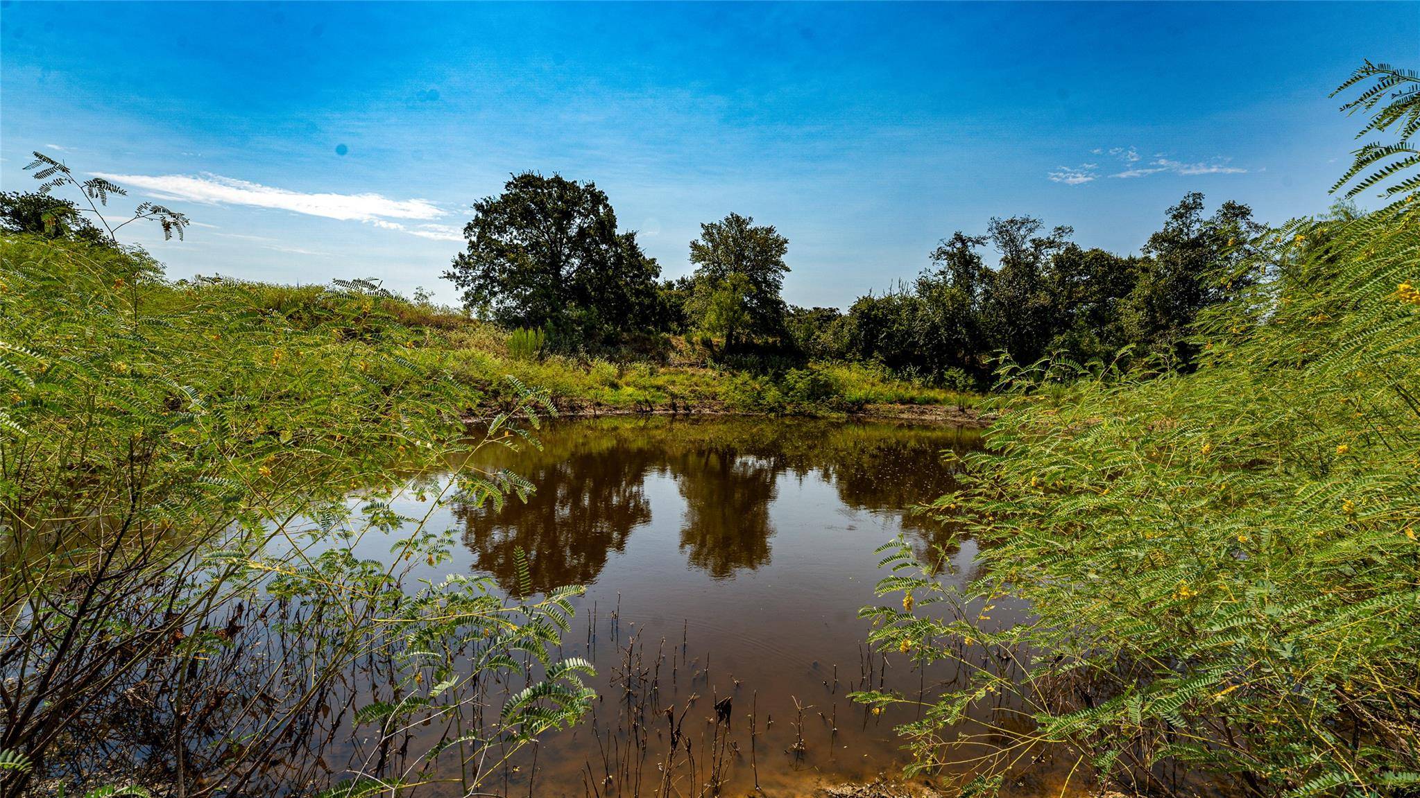 0000 CR 446, Rockdale, TX 76567