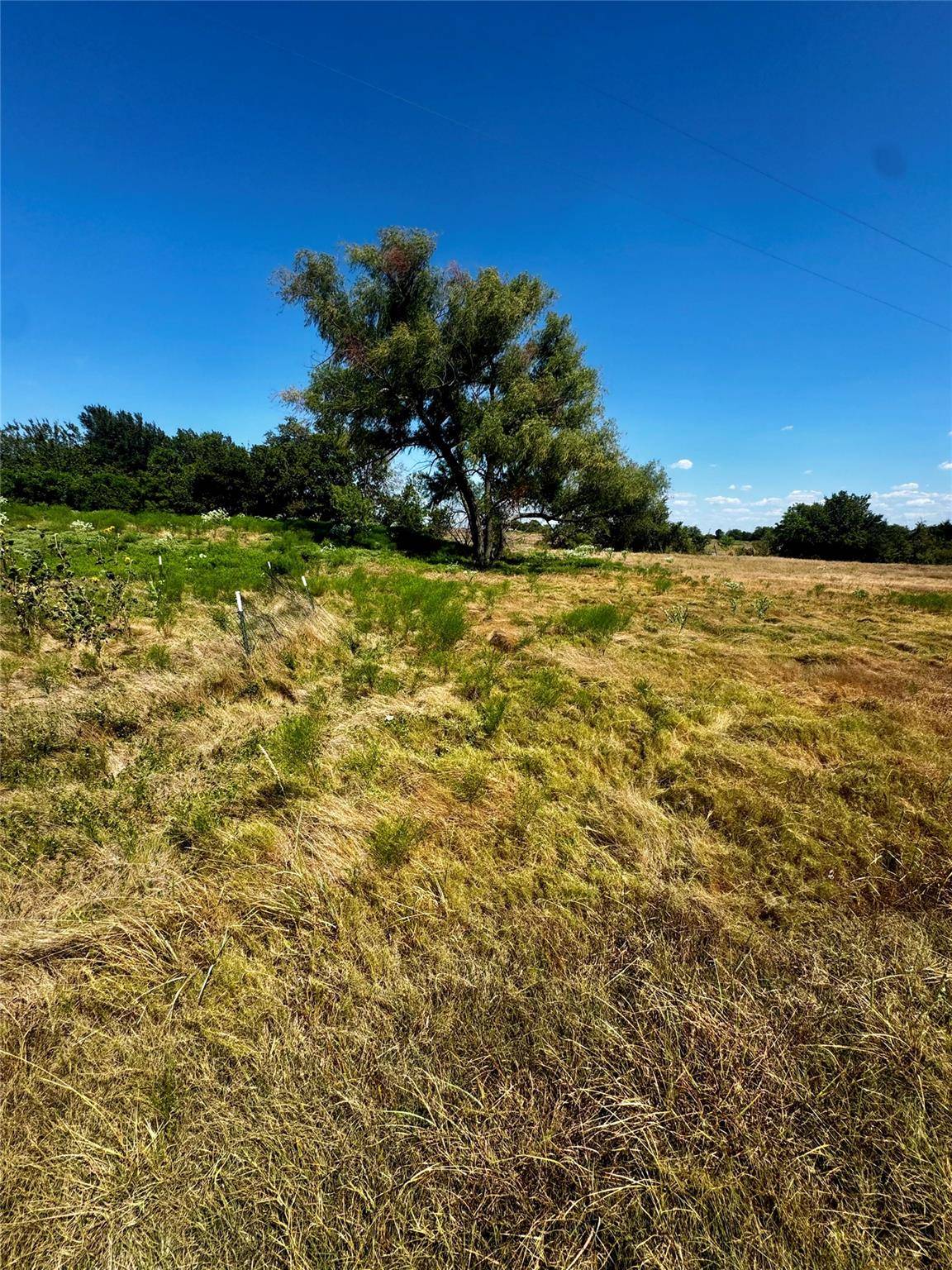 TBD lot 16 CR 327, Granger, TX 76530