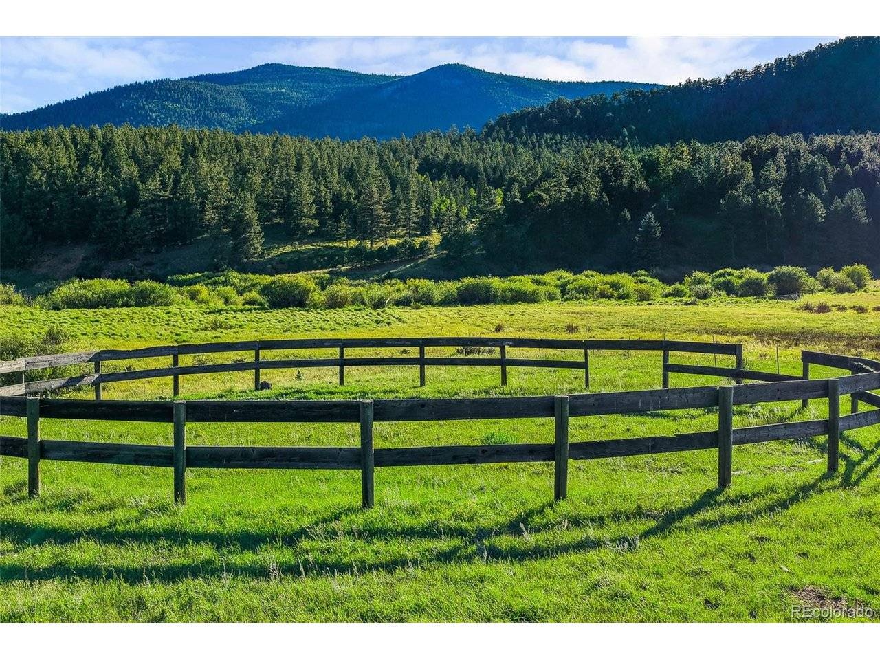 3763 County Road 43, Bailey, CO 80421