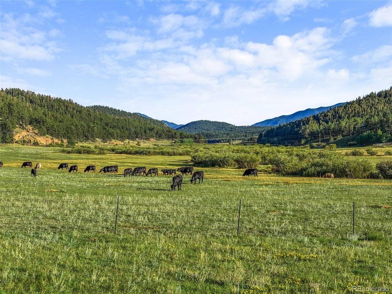 3763 County Road 43, Bailey, CO 80421