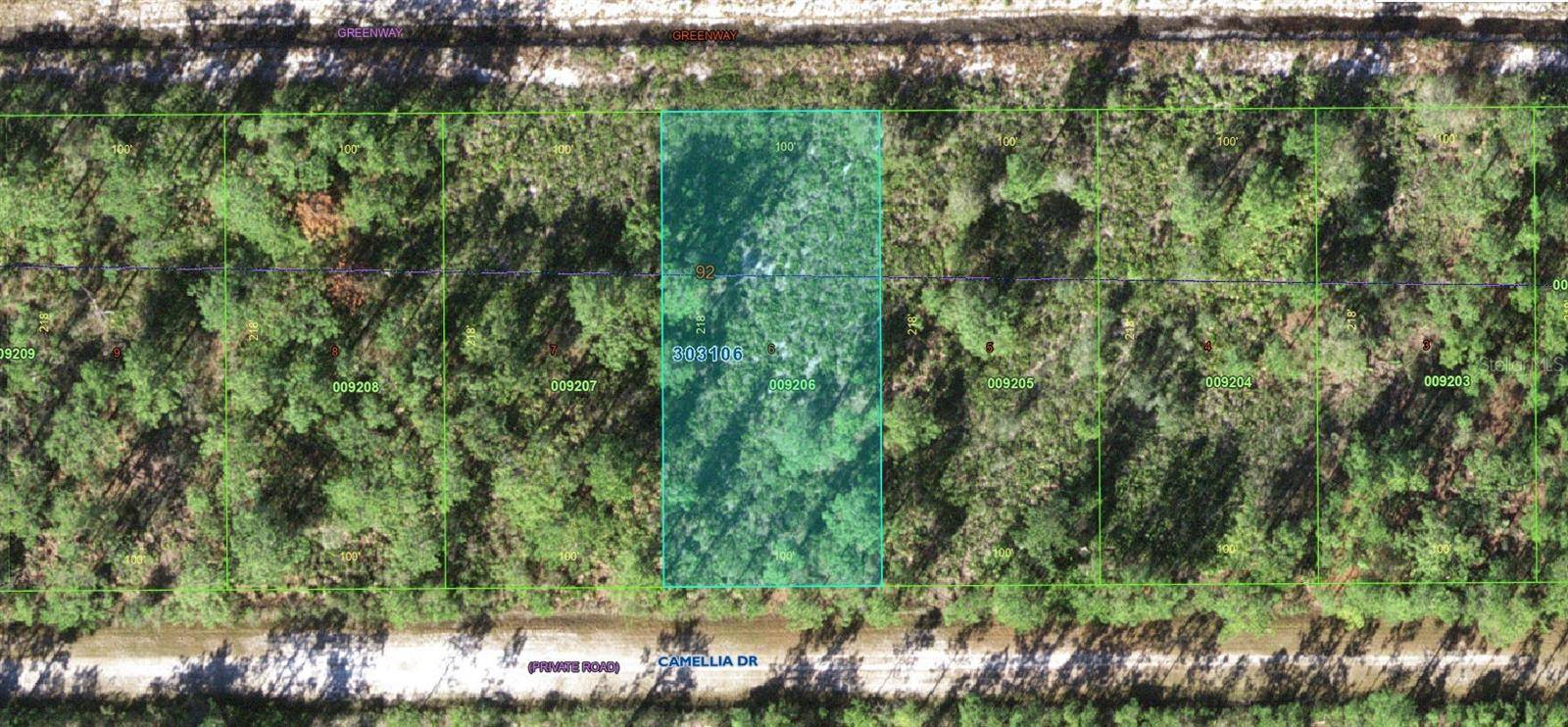 412 CAMELLIA DR, Indian Lake Estates, FL 33855