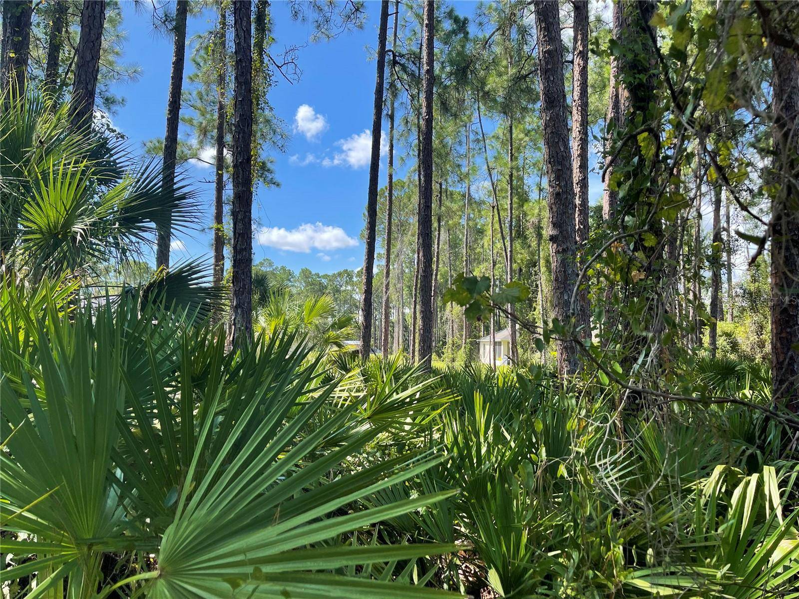 NOPPENBERG AVE #LOT 30, North Port, FL 34288
