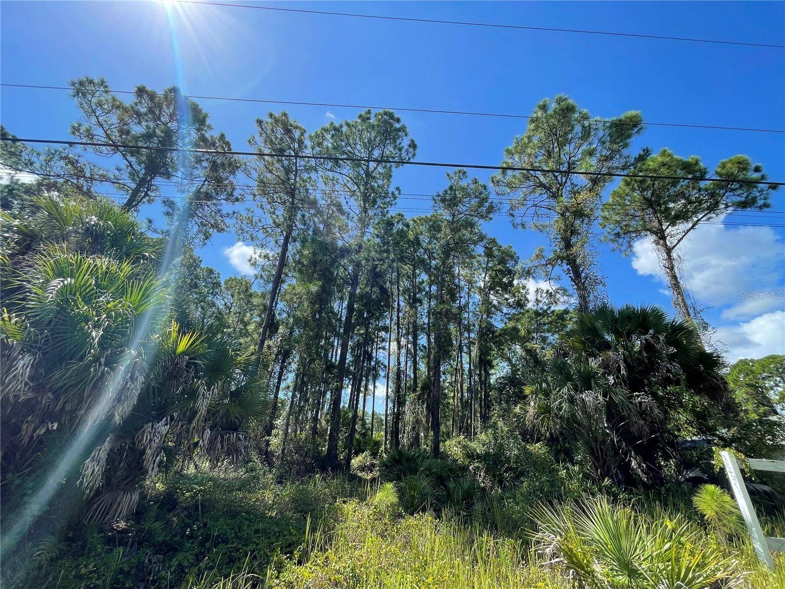 NOPPENBERG AVE #LOT 30, North Port, FL 34288