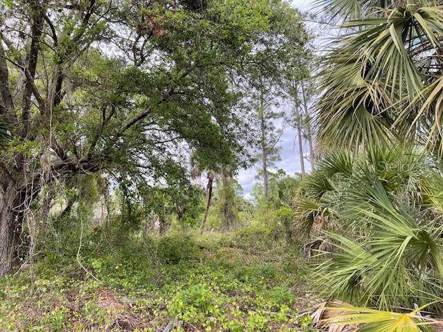 Lot 15 ANANAS RD, North Port, FL 34288