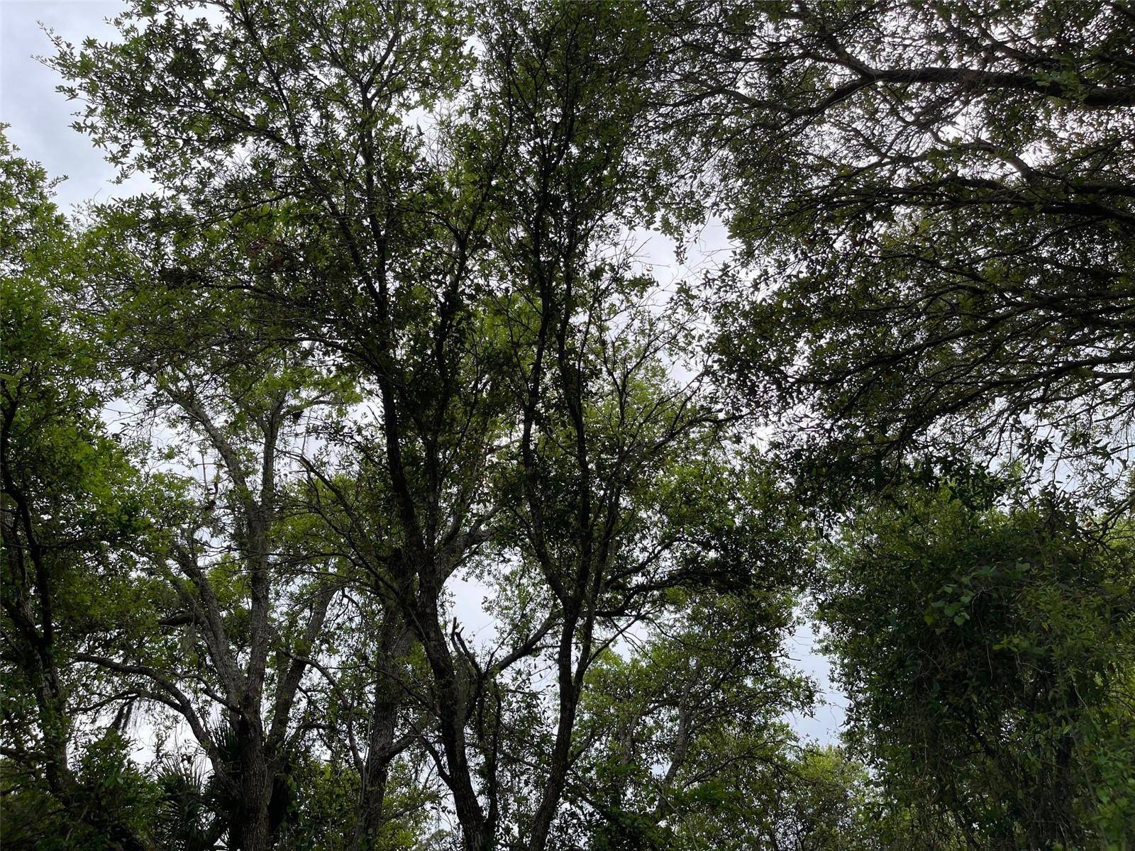 Lot 15 ANANAS RD, North Port, FL 34288
