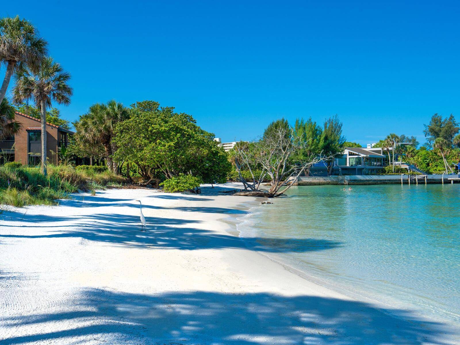 22 SANDY COVE RD #APT 203, Sarasota, FL 34242