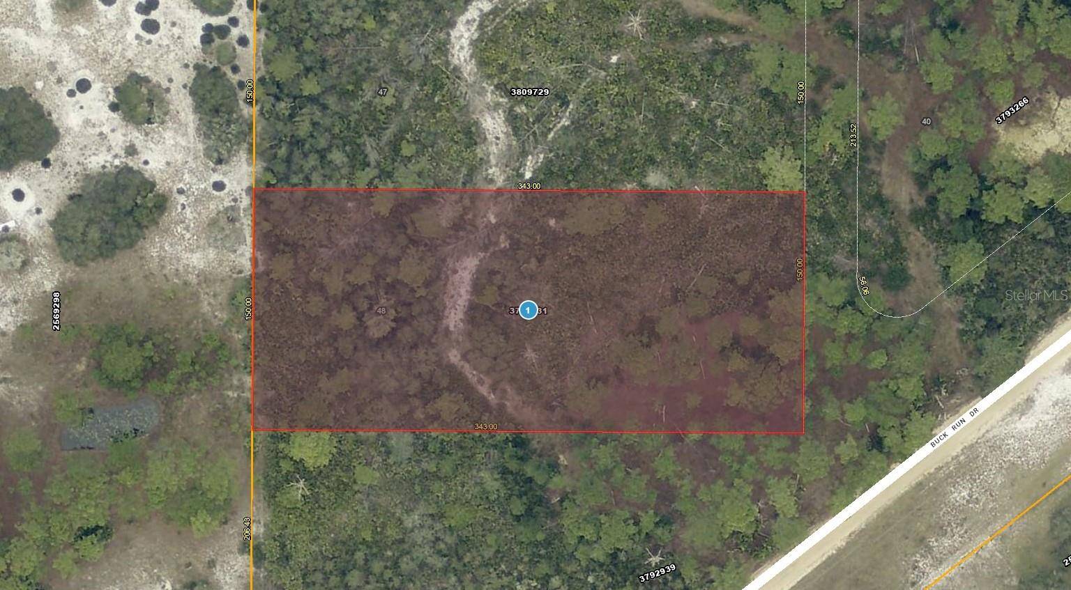 28-17-28-0004-000-03100 BUCK RUN DR, Paisley, FL 32767