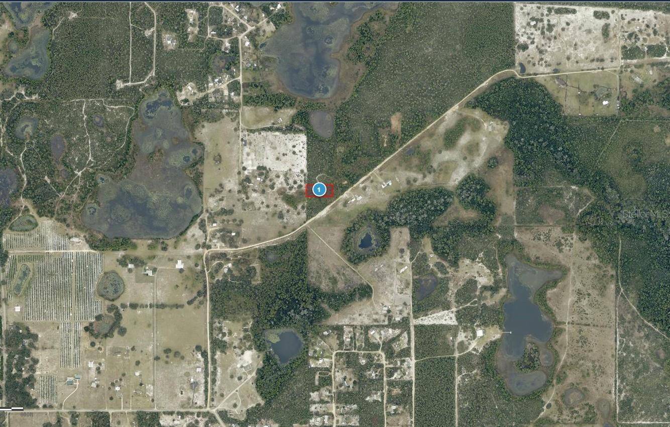 28-17-28-0004-000-03100 BUCK RUN DR, Paisley, FL 32767