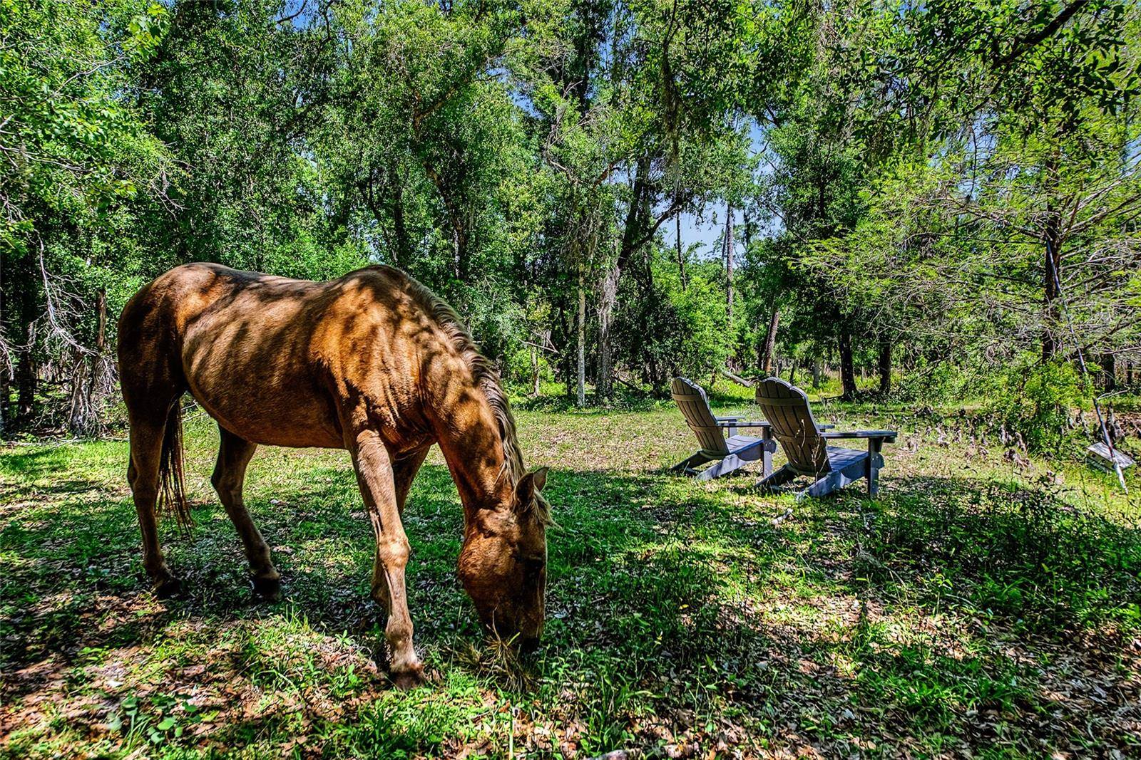 15750 WILSON RD, Sarasota, FL 34240