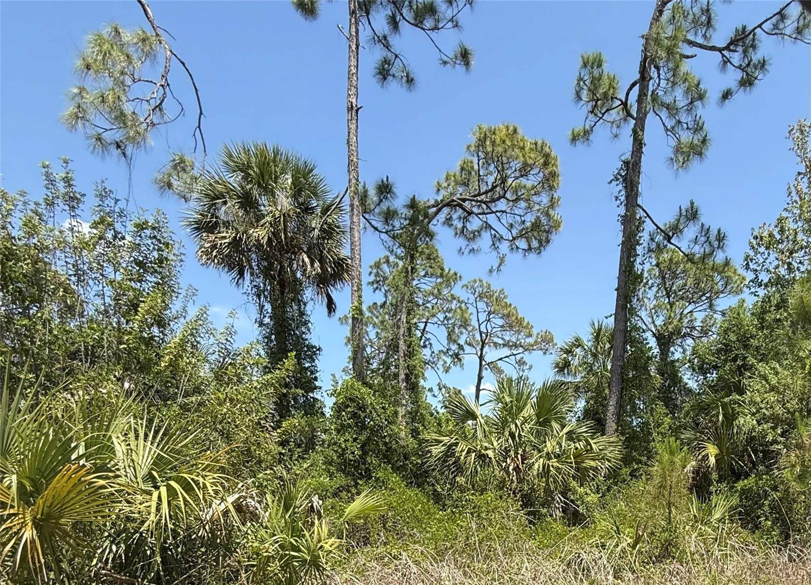 Lot 15 COASTAL ST, North Port, FL 34288
