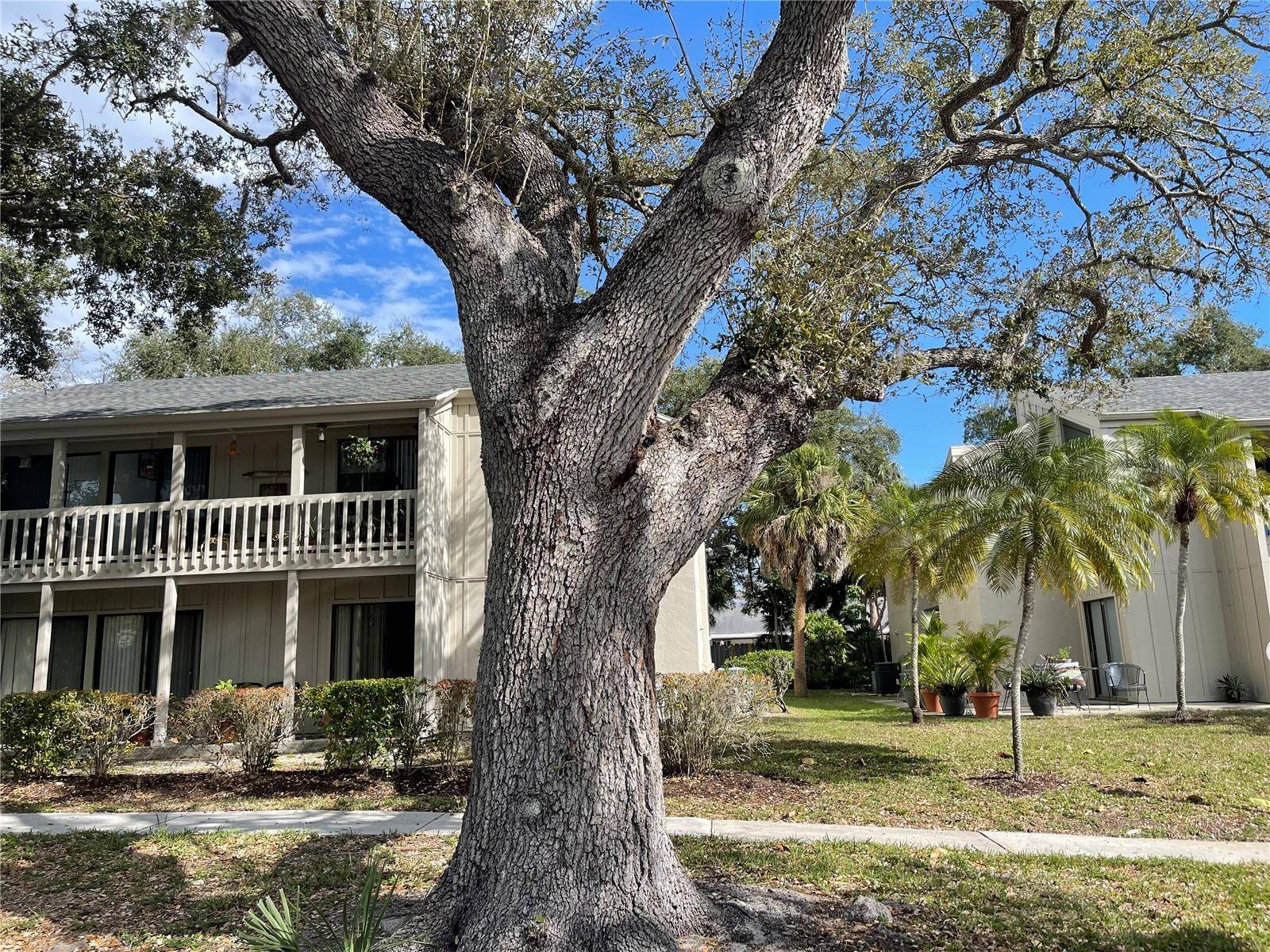 2224 BAHIA VISTA ST #E6, Sarasota, FL 34239