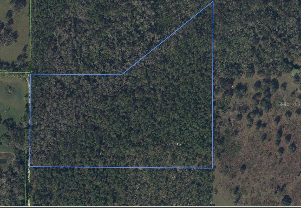 49 FENNY BOSK TRL, Venus, FL 33960