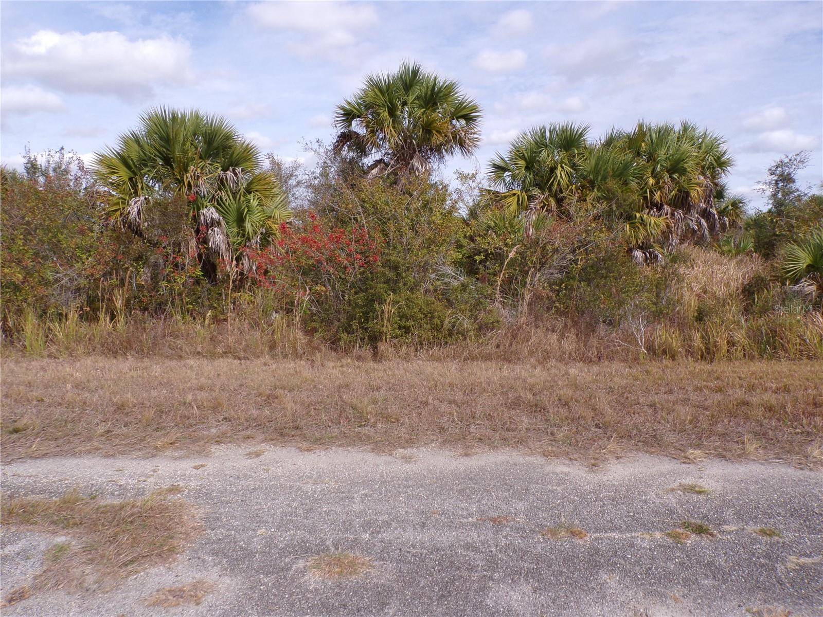 MAGELLAN ST, North Port, FL 34288