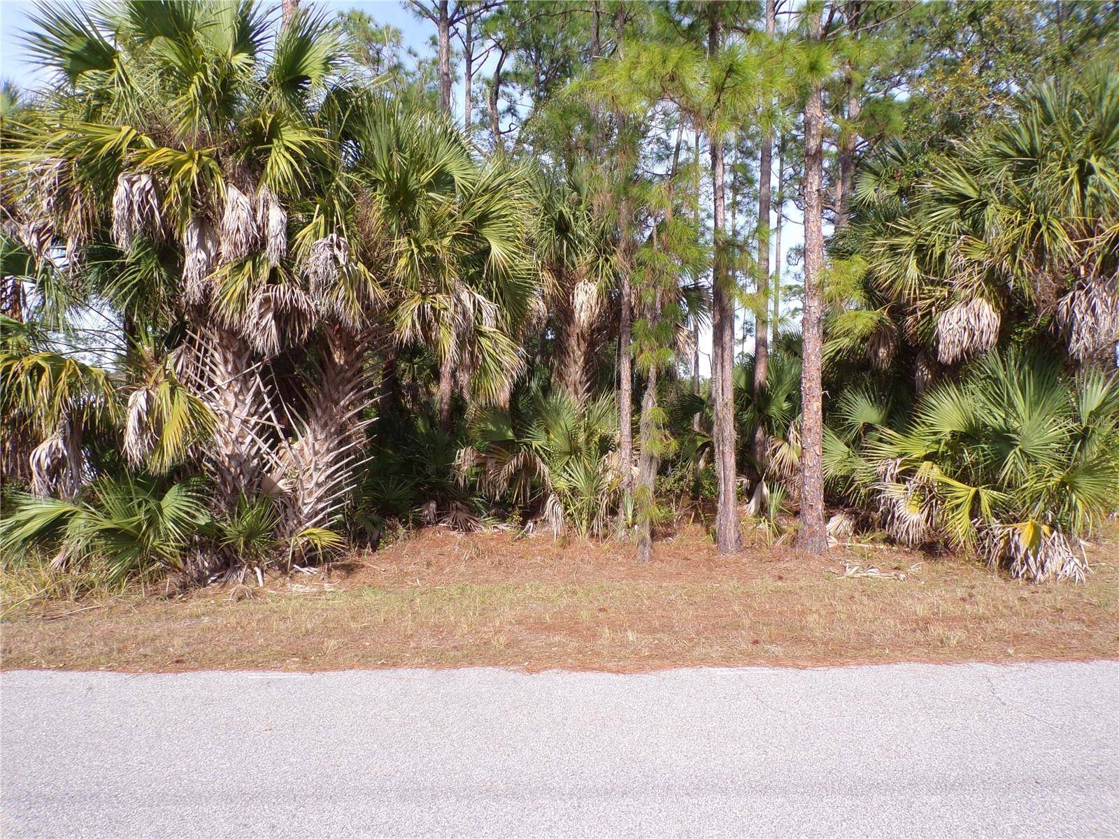 EVANGELINA LN, North Port, FL 34286