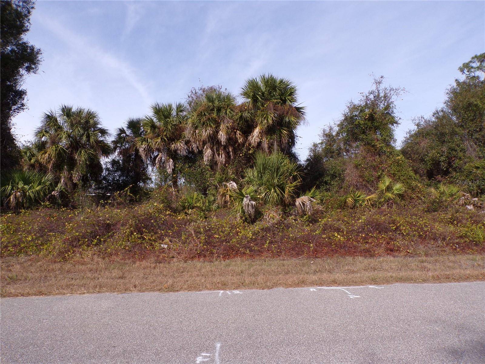 BREWSTER RD, North Port, FL 34288