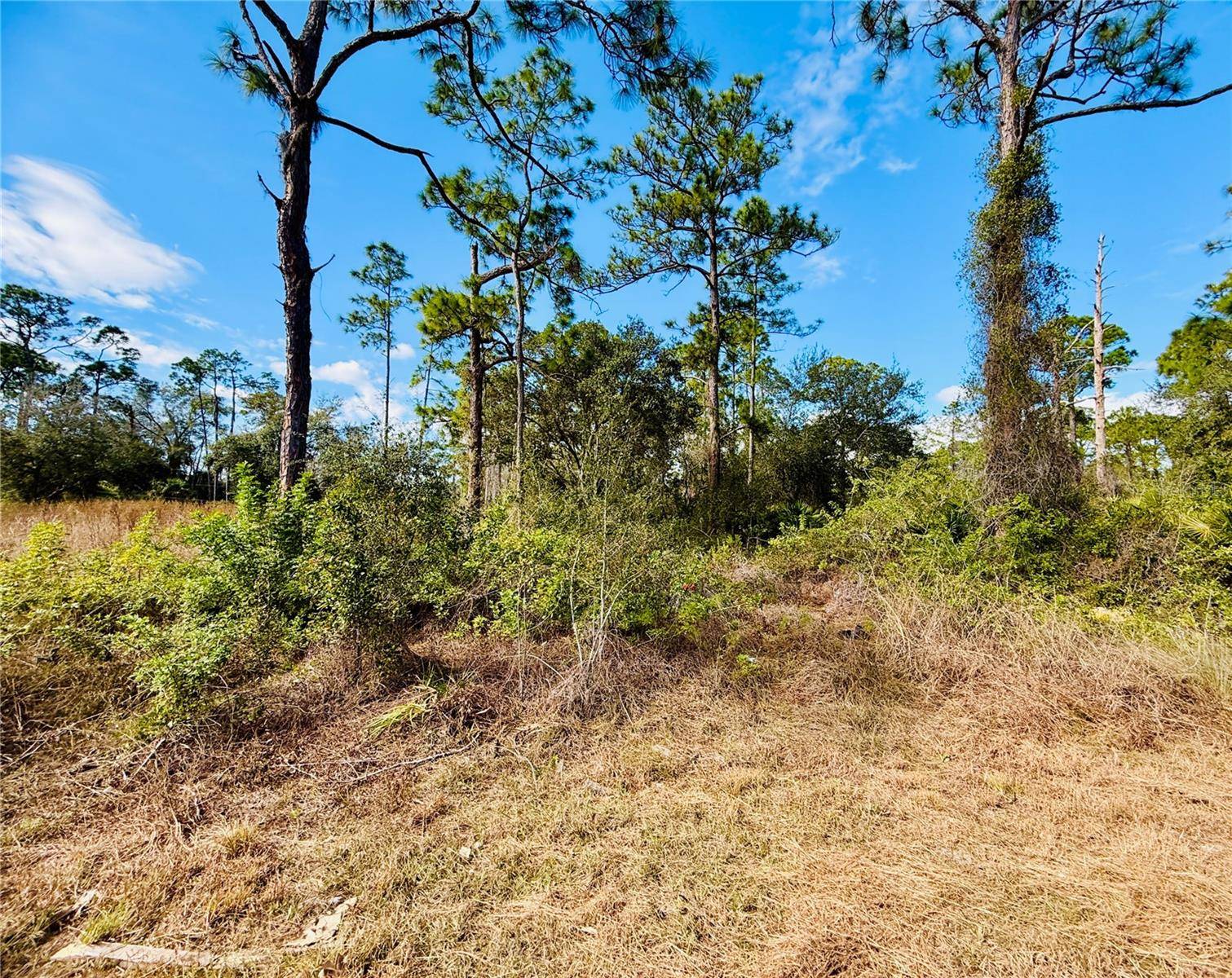 2007 TRUMAN AVE, Alva, FL 33920