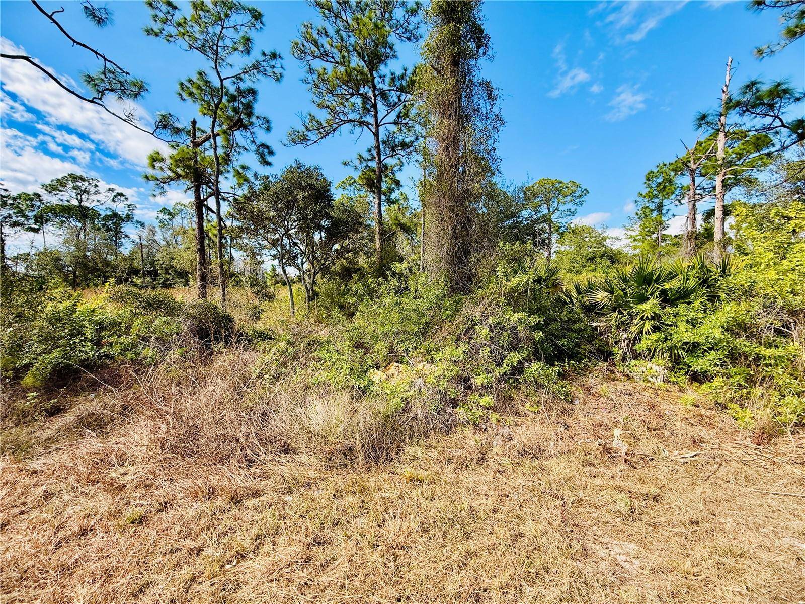 2007 TRUMAN AVE, Alva, FL 33920